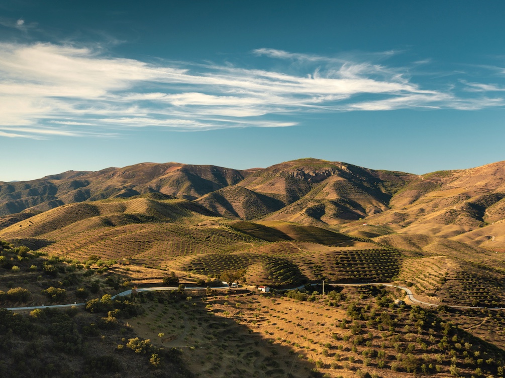 bicycle with-a-basket-in-italy-5GEZ67S